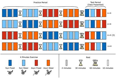 Steering Does Affect Biophysical Responses in Asynchronous, but Not Synchronous Submaximal Handcycle Ergometry in Able-Bodied Men
